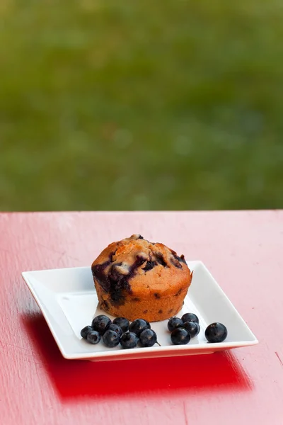 Blaubeermuffin auf einem quadratischen Teller — Stockfoto