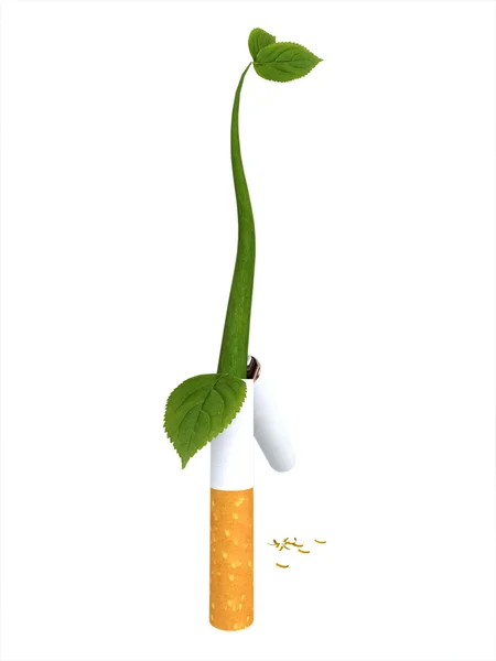 Cigarrillo roto con una planta germinante Imágenes de stock libres de derechos