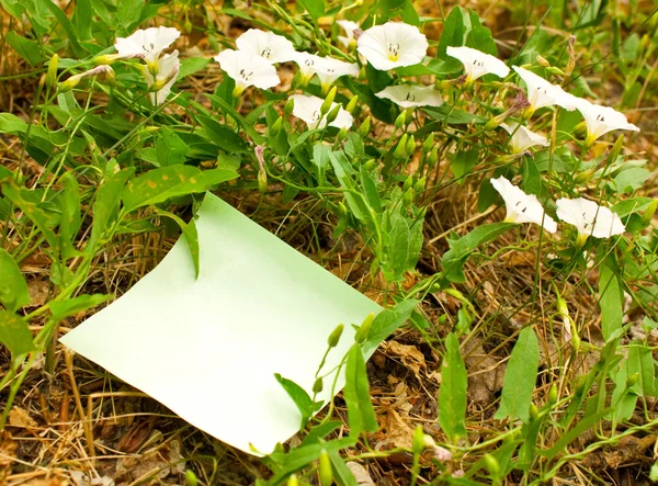 stock image Sheet of paper in colours