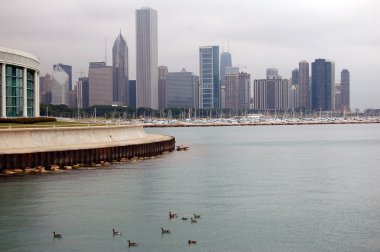 Chicago manzarası