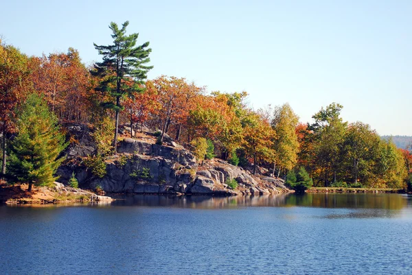 stock image Autumn's landscape