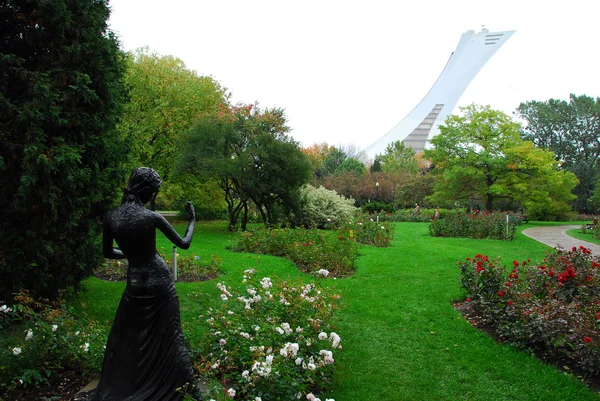 Jardin botanique — Photo