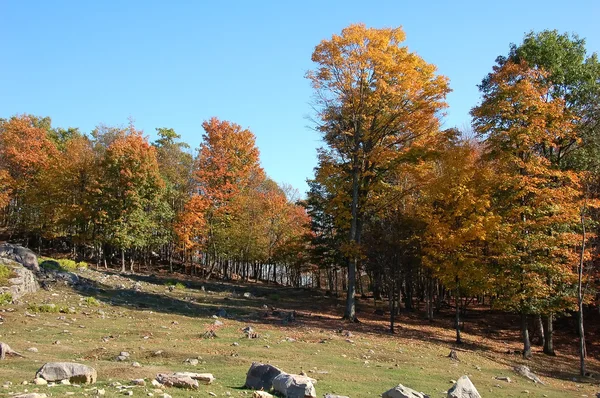 Herbstlandschaft — Stockfoto