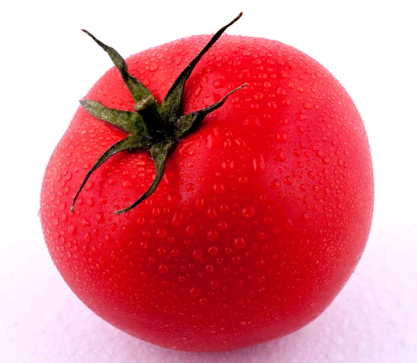 Pomodoro rosso con condensazione — Foto Stock