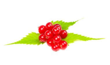 Redcurrants