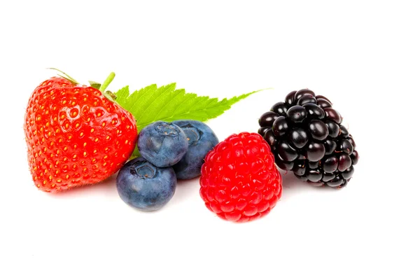 stock image Berries