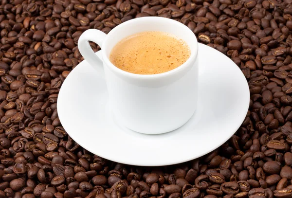 Bílá espresso šálek seděl na kávová zrna — Stock fotografie