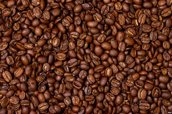 Kávébab — Stock Fotó