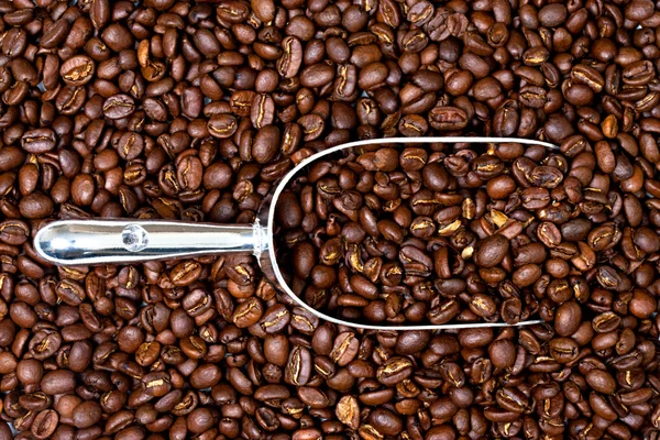 Kaffeebohnen und Schaufel — Stockfoto