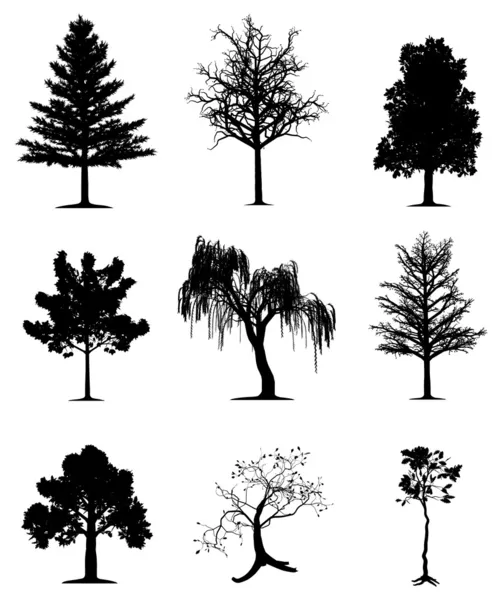 Bomen collectie — Stockvector