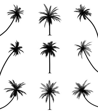 Palm trees clipart