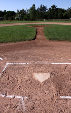 View from Behind Home Plate clipart