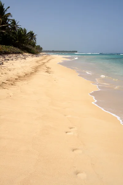 热带海滩径 — 图库照片