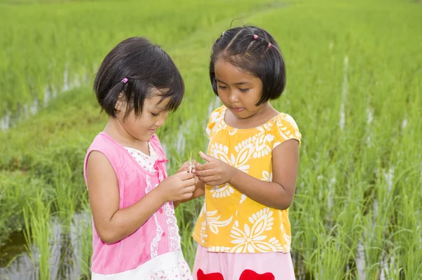 Aziatische meisjes met sprinkhaan — Stockfoto