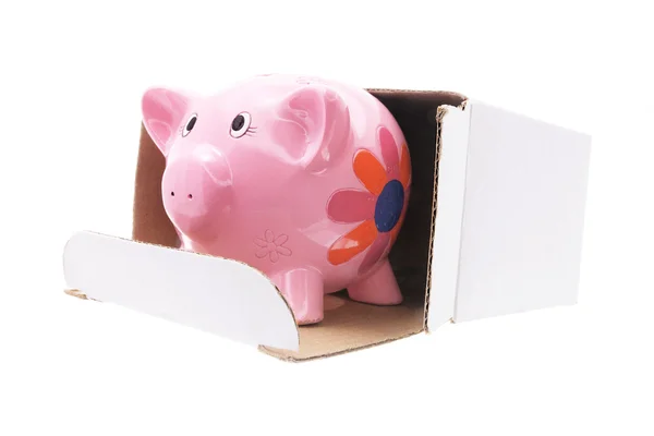 Piggybank karton kutu içinde — Stok fotoğraf