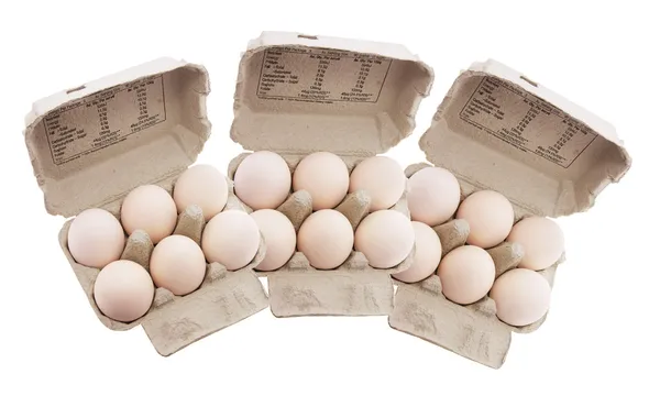 Αυγά σε θήκες αυγών από χαρτόνι — Φωτογραφία Αρχείου