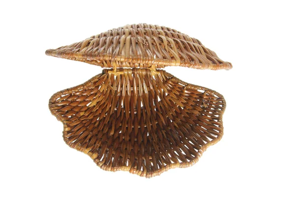 Vlechtwerk sea shell — Stockfoto