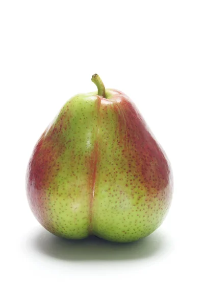 Forelle Pear — Stock Photo, Image