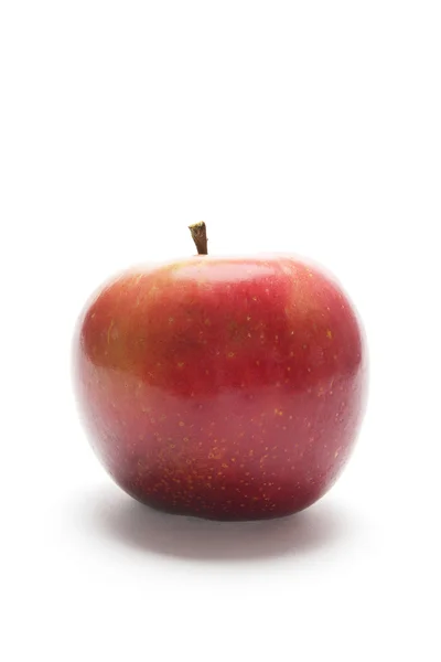 ふじりんご — ストック写真
