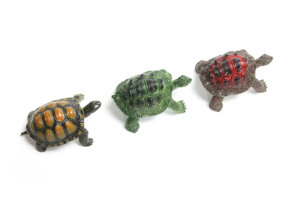 Linha de tartarugas em miniatura — Fotografia de Stock