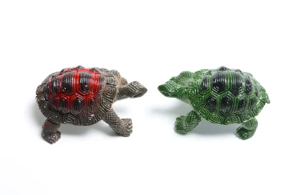 Miniature Tortoises — Stock Photo, Image