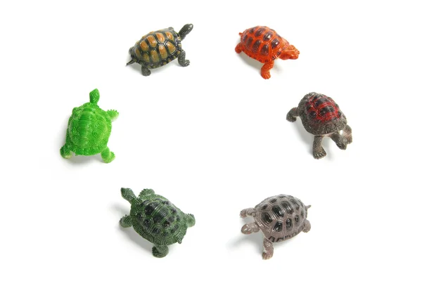 Tartarugas de plástico miniatura — Fotografia de Stock