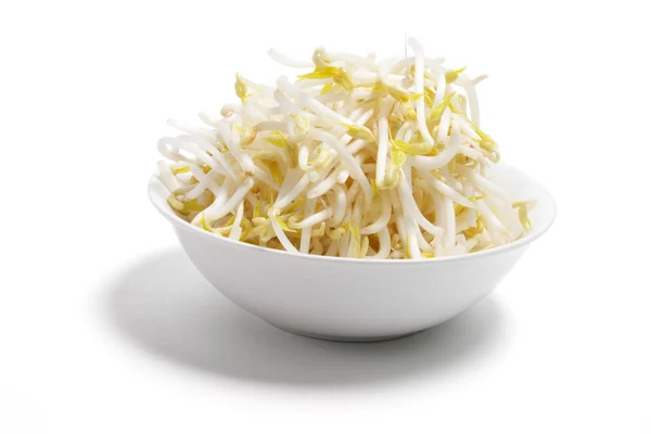 stock image Bowl of Bean Sprouts