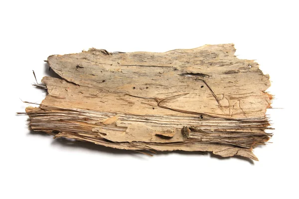 Pedaço de casca de árvore — Fotografia de Stock