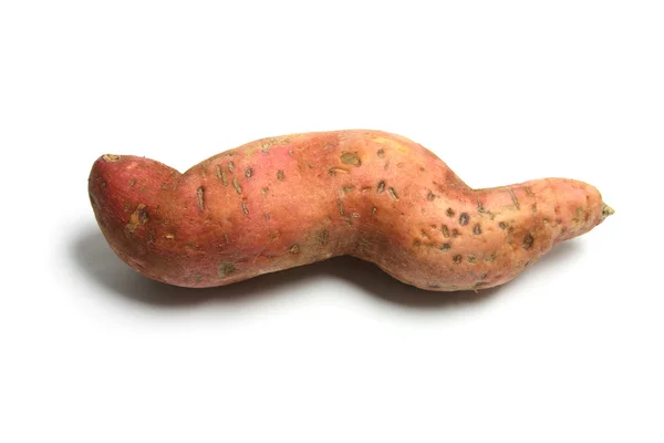 Zoete aardappel — Stockfoto