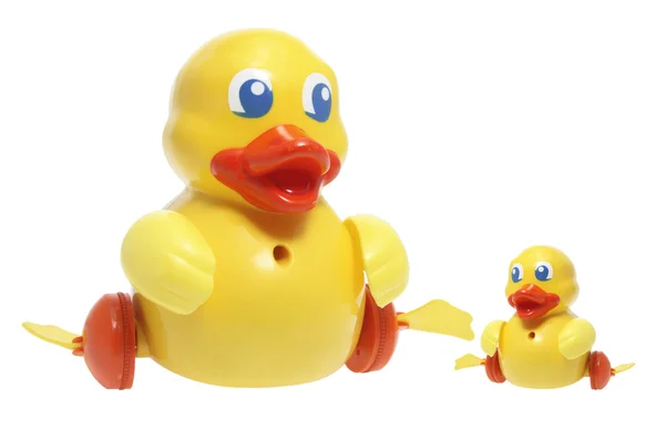 玩具小鸭 — 图库照片