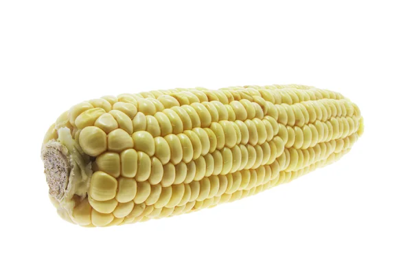 Kolby kukurydzy cukrowej — Zdjęcie stockowe