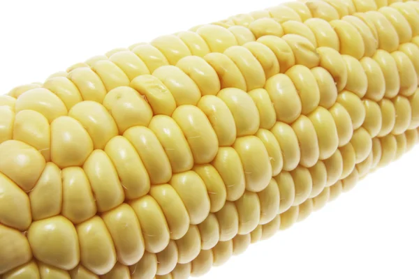Sweet Corn Cob — Stock Photo, Image