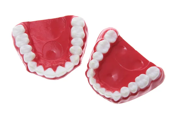 Prótesis dentales artificiales — Foto de Stock