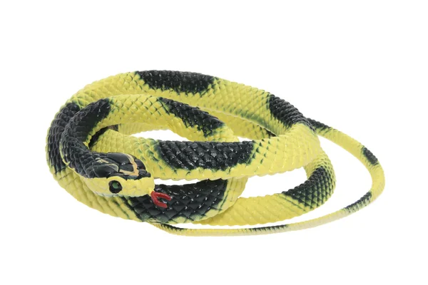 Wąż gumowy — Zdjęcie stockowe
