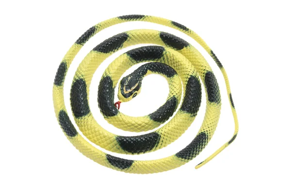 Rubber Snake — Stock Photo, Image