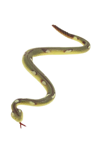 Serpent en caoutchouc — Photo