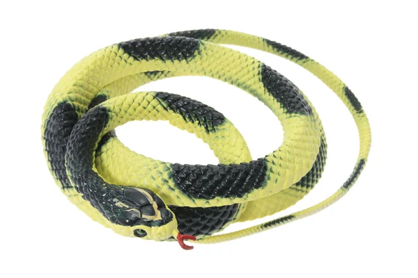 Serpente de borracha — Fotografia de Stock