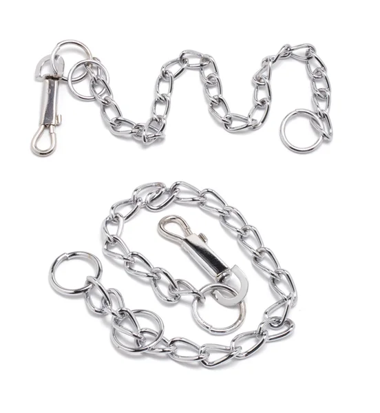 Dog Chain Collars — Stock Photo, Image
