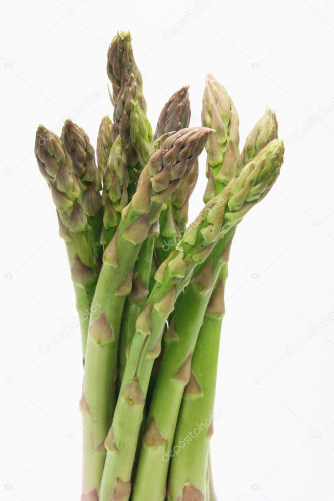 Bunch of Asparagus