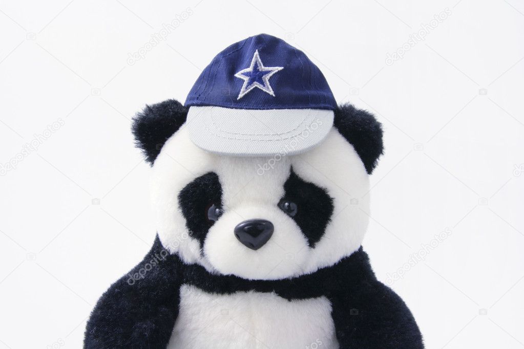 soft-toy-panda-wearing-cap-stock-photo-newlight-3216118