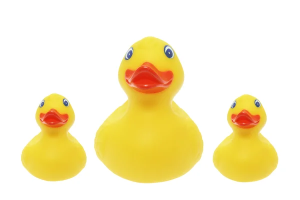Rubber Ducks — Stock Photo, Image