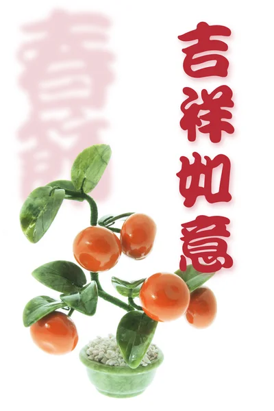 Grüße mit Mandarinenpflanze — Stockfoto