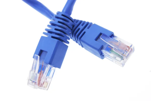 Cable de red — Foto de Stock