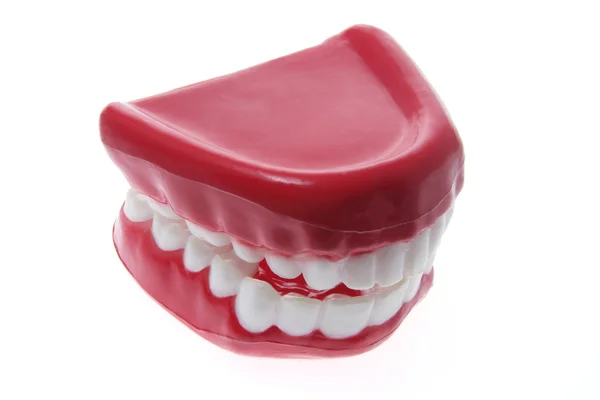 Prótesis dentales artificiales Imagen de stock