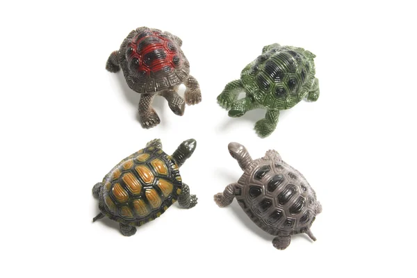Műanyag teknősök — Stock Fotó