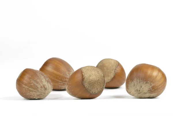 Hazelnuts 02 — Stock Photo, Image