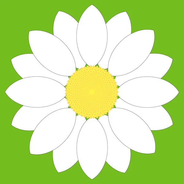 White Flower — Stock Vector