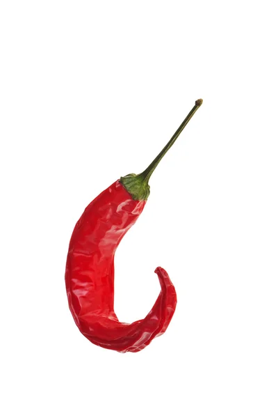 Red hot chilli biber solgunluk. — Stok fotoğraf