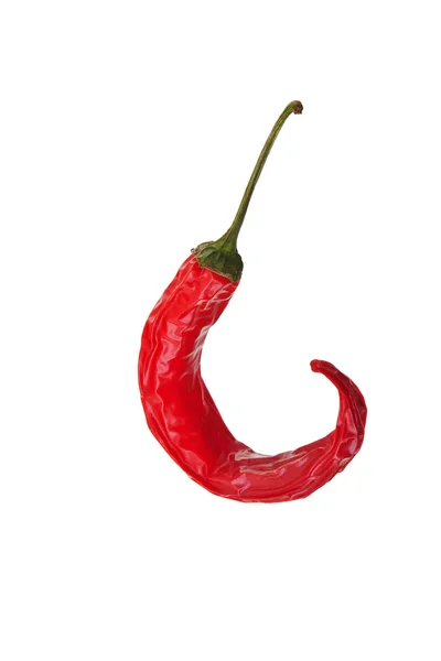 Red hot chilli biber solgunluk. — Stok fotoğraf