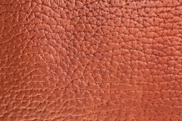 Modèle en cuir marron . — Photo